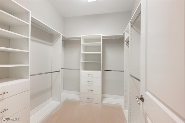 spacious closet with carpet flooring