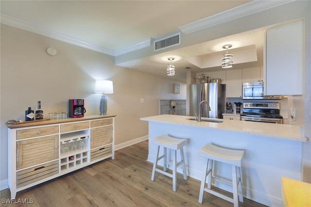 kitchen with a tray ceiling, wood-type flooring, appliances with stainless steel finishes, sink, and decorative light fixtures