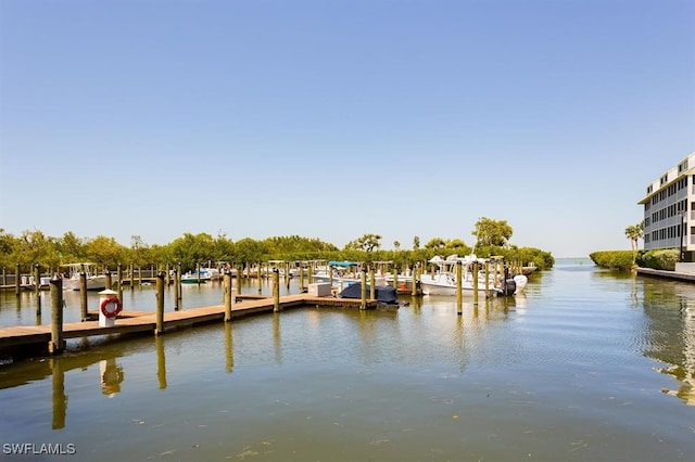 dock area with a water view