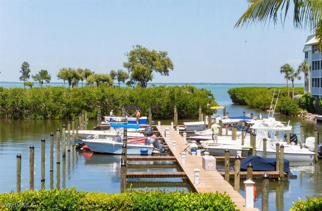 dock area featuring a water view