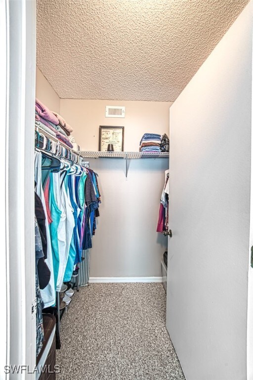 spacious closet featuring carpet