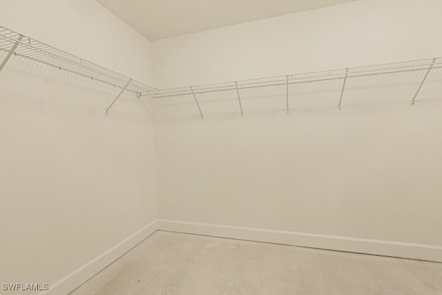 view of spacious closet