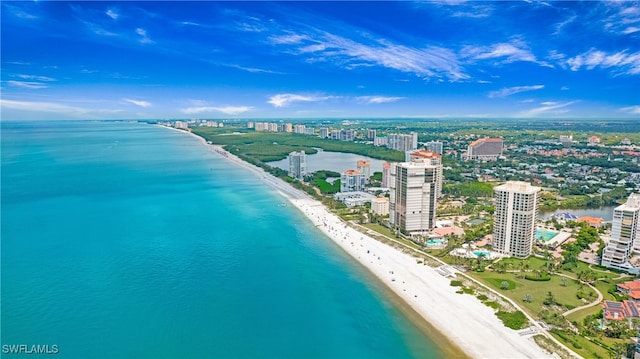 aerial view featuring a beach view and a water view