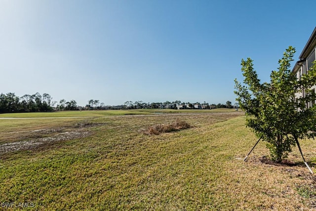 view of yard with a rural view