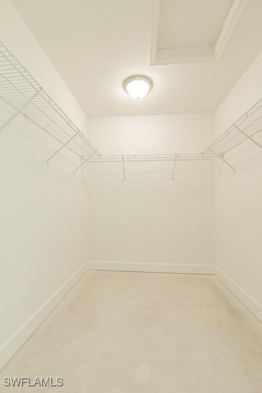 view of walk in closet