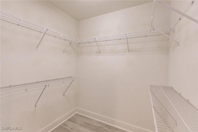 walk in closet with light wood-style flooring