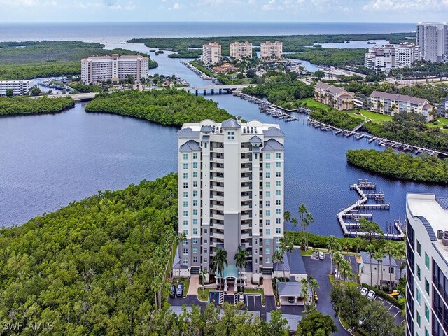 bird's eye view with a water view