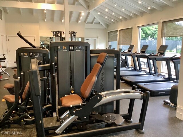 gym featuring lofted ceiling