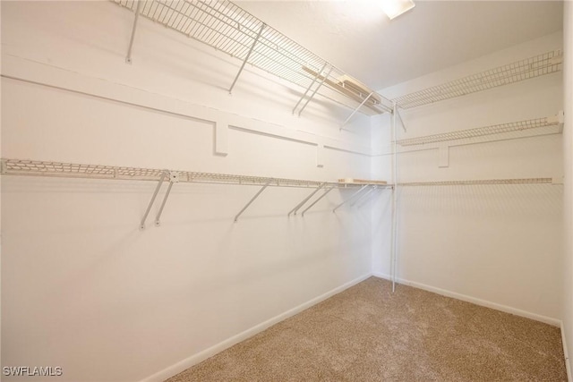 2504 SE 16th Pl Unit 101, Cape Coral, FL 33904 - spacious closet with carpet flooring