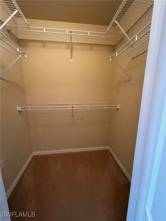 walk in closet with carpet