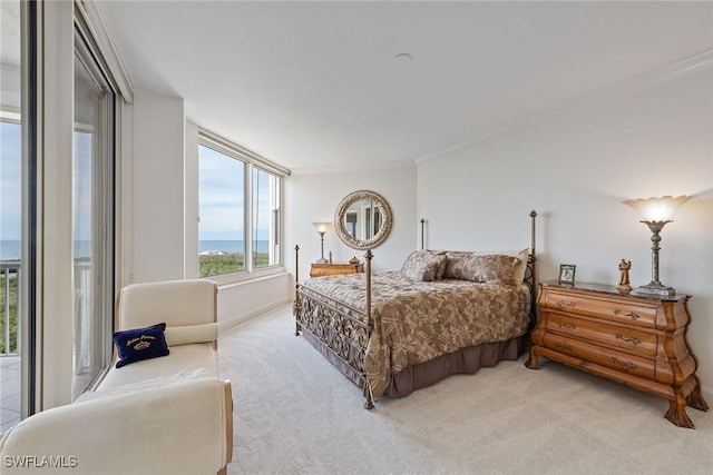 bedroom with light carpet and a water view