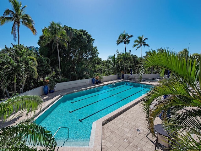 view of swimming pool