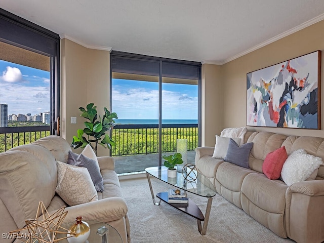 living room featuring floor to ceiling windows, crown molding, and a healthy amount of sunlight