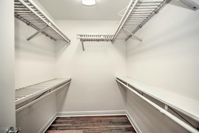 spacious closet with dark hardwood / wood-style floors