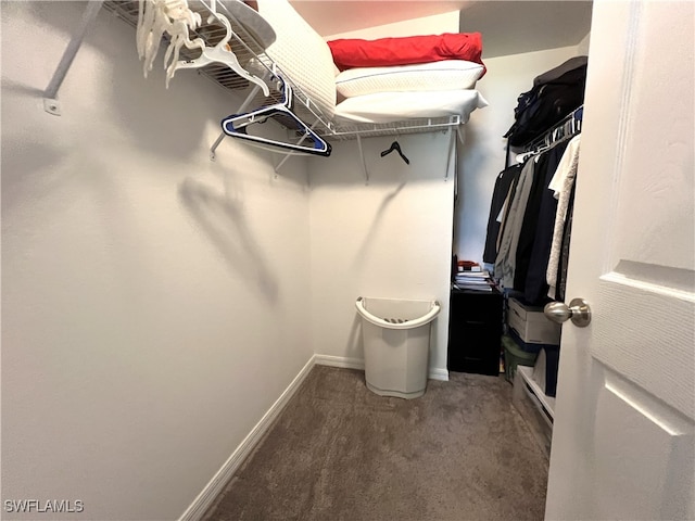 walk in closet with carpet