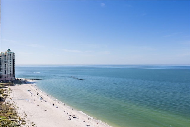 property view of water featuring a beach view