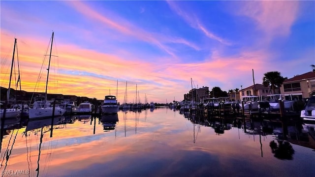 property view of water with a dock