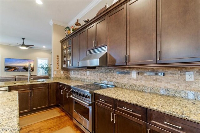 kitchen with high end range, sink, ornamental molding, dark brown cabinets, and light stone counters