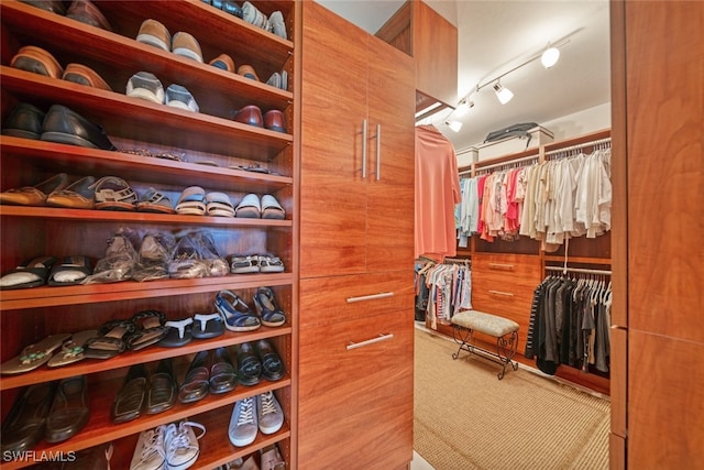 view of walk in closet