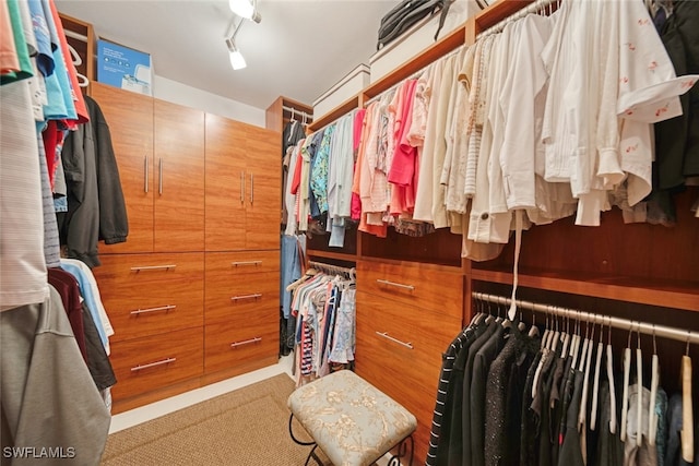 spacious closet with light colored carpet