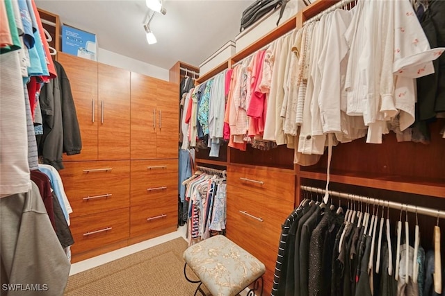 view of spacious closet