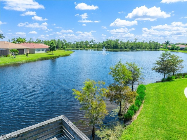 view of water feature