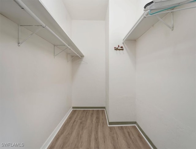 spacious closet featuring hardwood / wood-style floors