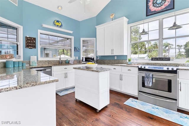 kitchen with appliances with stainless steel finishes, a wealth of natural light, and dark hardwood / wood-style floors