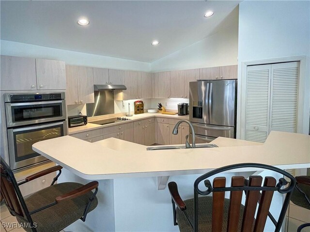 28124 Meadowlark Ln, Bonita Springs, FL 34134 - kitchen with a breakfast bar, stainless steel appliances, under cabinet range hood, lofted ceiling, and a sink