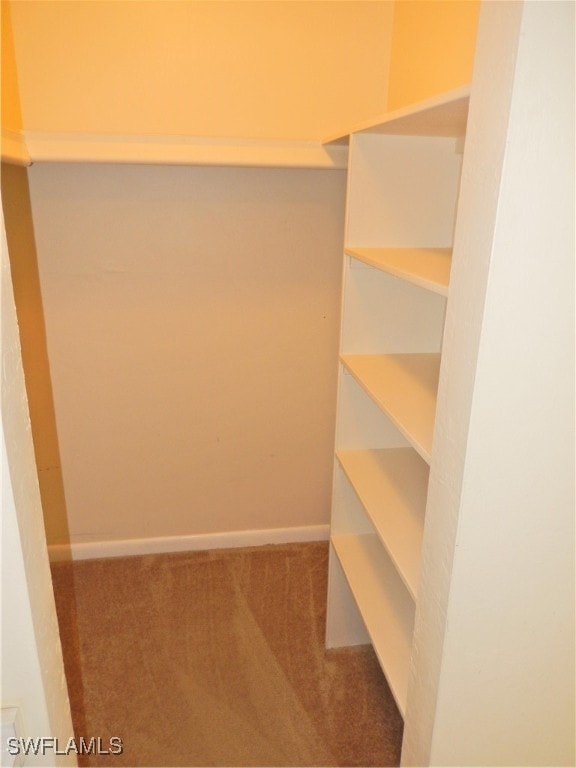 walk in closet featuring carpet