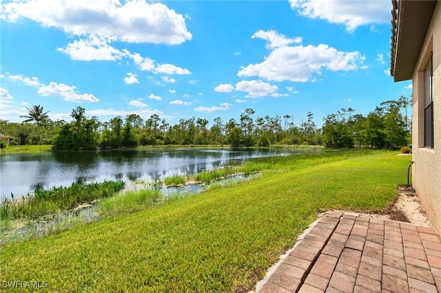 view of yard with a water view