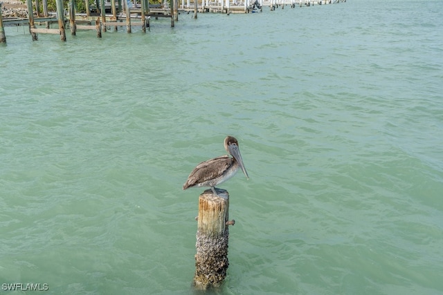 property view of water with a dock