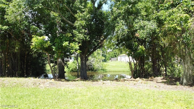 view of nature featuring a water view