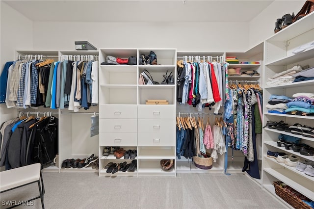 walk in closet featuring carpet