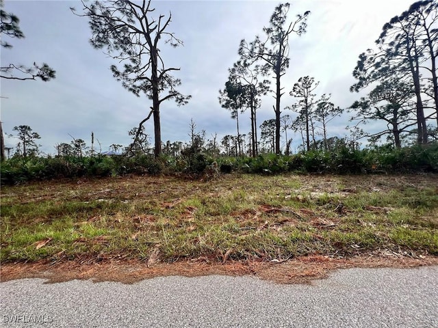 3 Mast Dr, Placida FL, 33946 land for sale