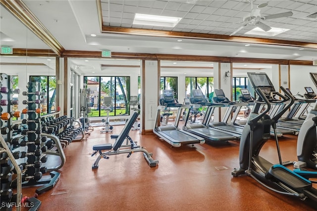 exercise room featuring ceiling fan, a tray ceiling, and a drop ceiling