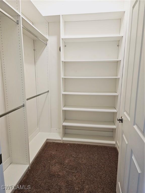 walk in closet with carpet