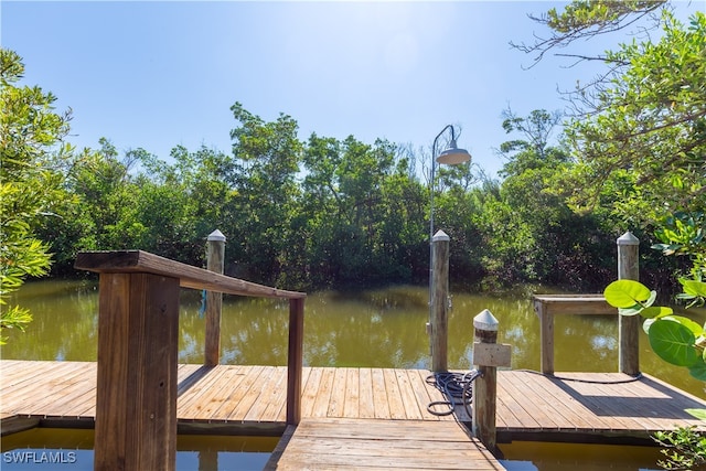 view of dock with a water view