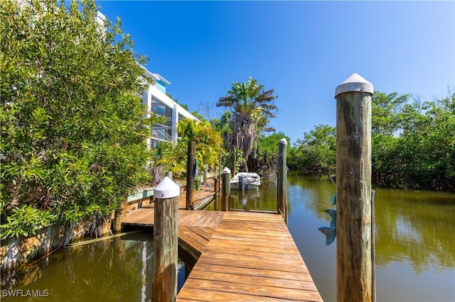 dock area with a water view