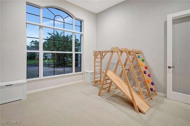 interior space featuring plenty of natural light and light colored carpet