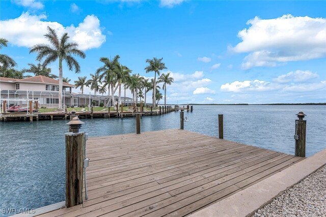 dock area with a water view