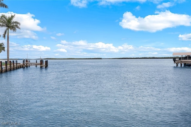 dock area with a water view