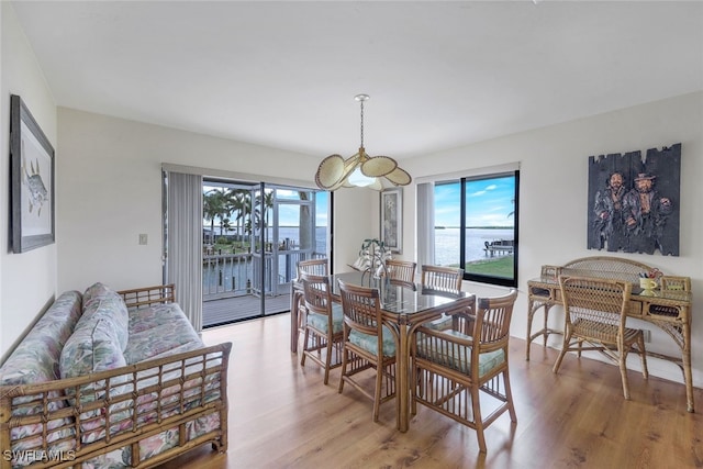 dining area with an inviting chandelier, light hardwood / wood-style flooring, a healthy amount of sunlight, and a water view