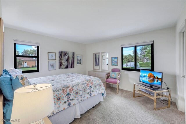 view of carpeted bedroom