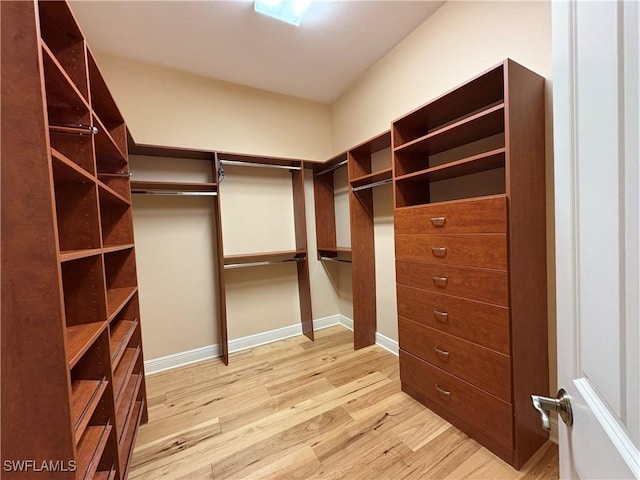 spacious closet featuring light wood-type flooring