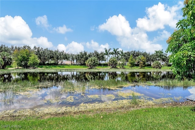 view of water feature