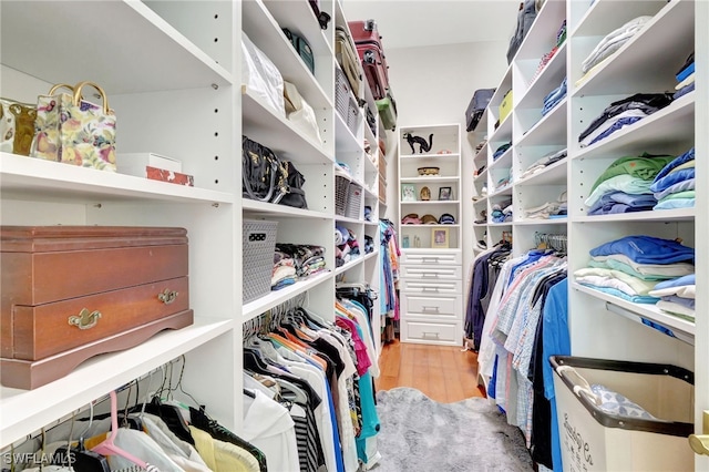 spacious closet with light hardwood / wood-style flooring