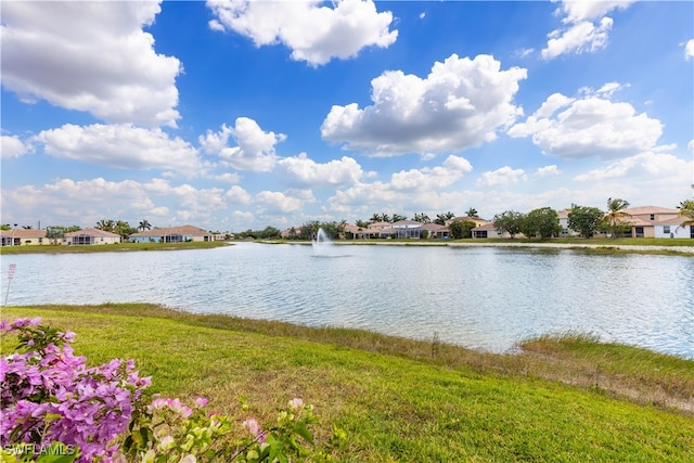 property view of water