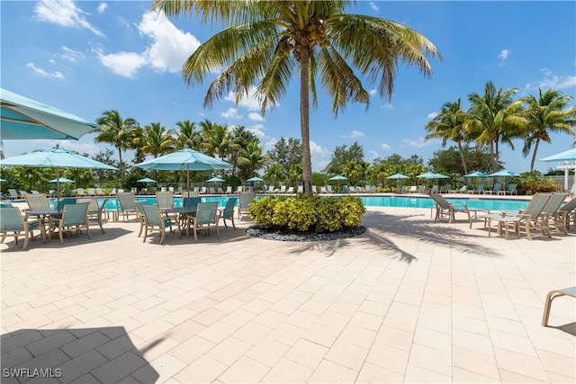 view of swimming pool with a patio area