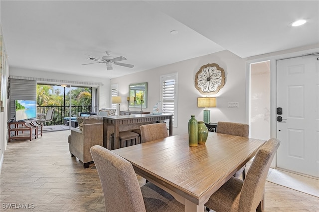 dining room with a healthy amount of sunlight, ceiling fan, and light hardwood / wood-style floors